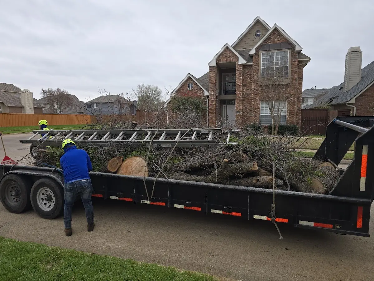 Expert Lot Clearing with proper safety equipment in Palisade